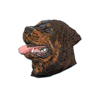 Rottweilerhuvud 2