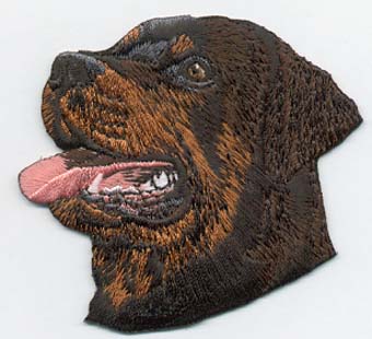 Rottweilerhuvud 2
