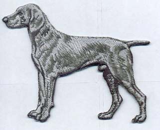 Weimaraner