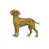 Hungarian Vizsla