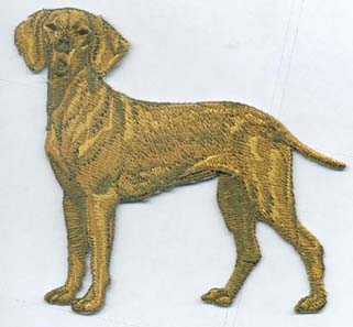 Hungarian Vizsla