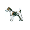 Foxterrier