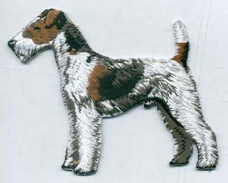 Foxterrier