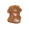 Nova Scotting Duck Tolling Retriever