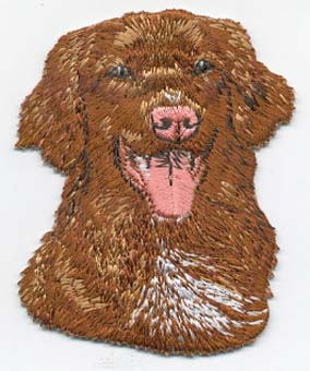Nova Scotting Duck Tolling Retriever