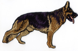 Sch�fer - German Shepherd whole dog