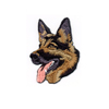 Sch�ferhuvud - German Shepherd head