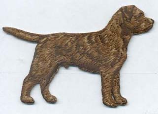 Borderterrier