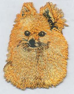Pomeranian