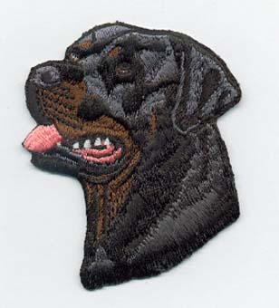Rottweiler utan text