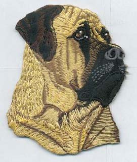Bull Mastiff