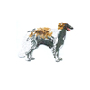 Borzoi