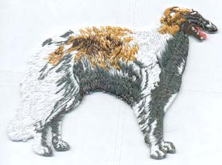 Borzoi