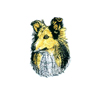 Shetland Sheepdog