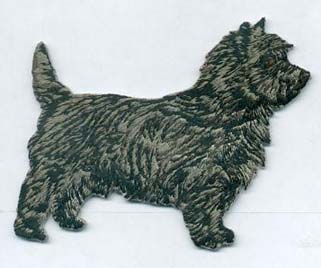 Cairn Terrier