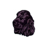 Cocker Spaniel, black