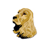 Cocker Spaniel Gold