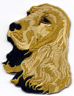 Cocker Spaniel Gold