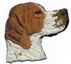Pointer huvud