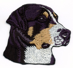 Grosser Schweizer Sennenhund