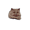 Katt, Perser
