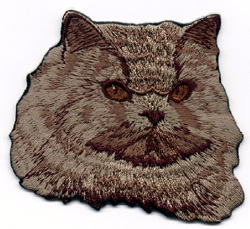 Katt, Perser