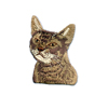 Katt, Korth�rig