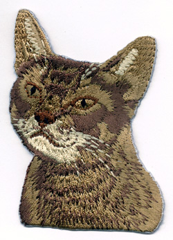 Katt, Korth�rig