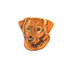 Nova Scotia Duck Tolling Retriever