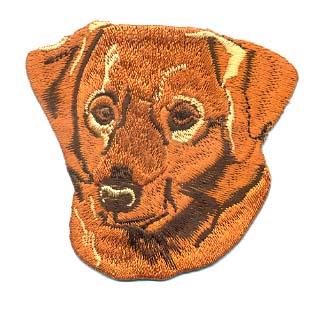 Nova Scotia Duck Tolling Retriever