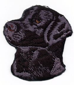 Labrador