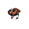 Boxer