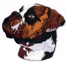 Boxer