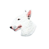 Bullterrier Vit