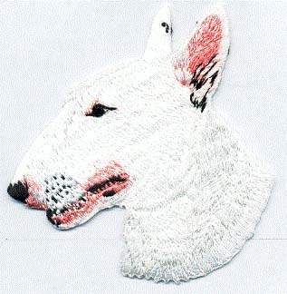 Bullterrier Vit