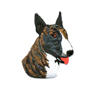 Bullterrier brun