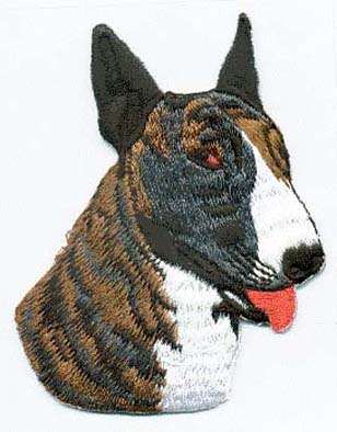 Bullterrier brun