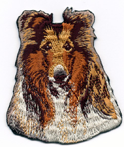 Collie