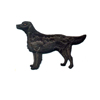 Flat Coated Retriever
