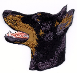 Dobermann, kuperade �ron