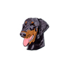 Dobermann, h�ng�ron