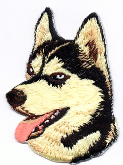 Sibirian Husky