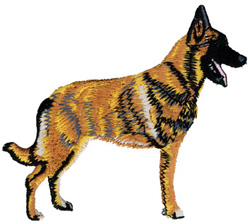 Malinois