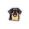 Hovawart, black and tan