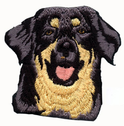 Hovawart, black and tan