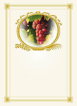Vinetiketter. Vindruvor i guldram. 24 st