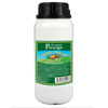 Irish Cream 280 ml Essens