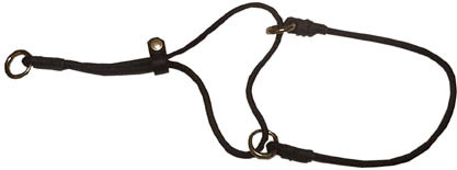 Sl�pphalsband L (Rottweiler)