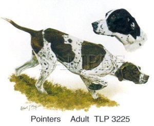 Pointers