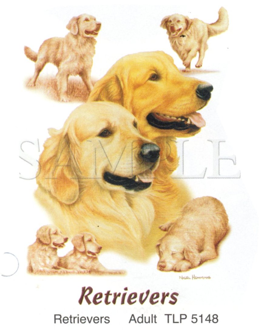 Golden Retrievers